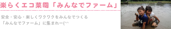 楽らくエコ菜園