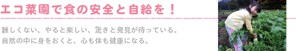 エコ菜園づくり